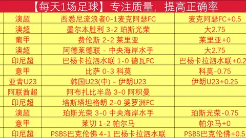 首届中国男子冰球职业联赛总决赛盛大开启，京城深圳同庆首捷